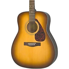Electric Guitar