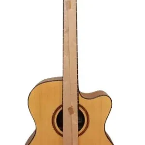 Tayste LS-570 Acoustic Guitar