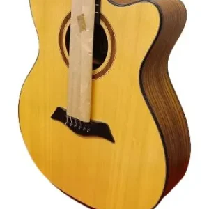Tayste LS-570 Acoustic Guitar