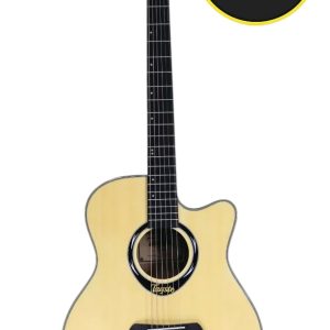 Tayste L-720A Acoustic Guitar – Natural