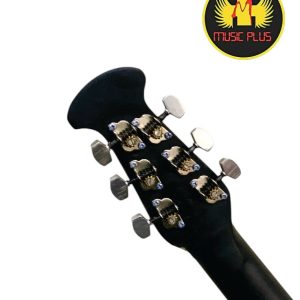 Signature Roghu Series Acoustic Guitar (Original)