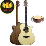 Tayste LS-570 Acoustic Guitar