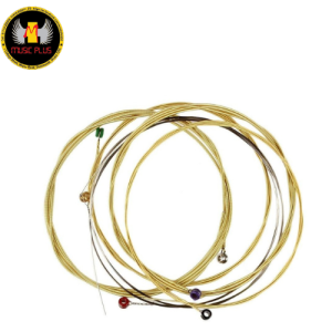 Orphee TX620 / TX630/TX640 Acoustic guitar String – 75/25 Bronze Normal light