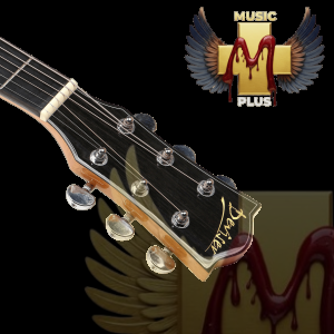 Deviser L-720A 41 Inch Acoustic Guitar