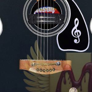 Givson Venus Super SpeciaL Acoustic Guitar