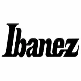 Ibanez Guitar Brand